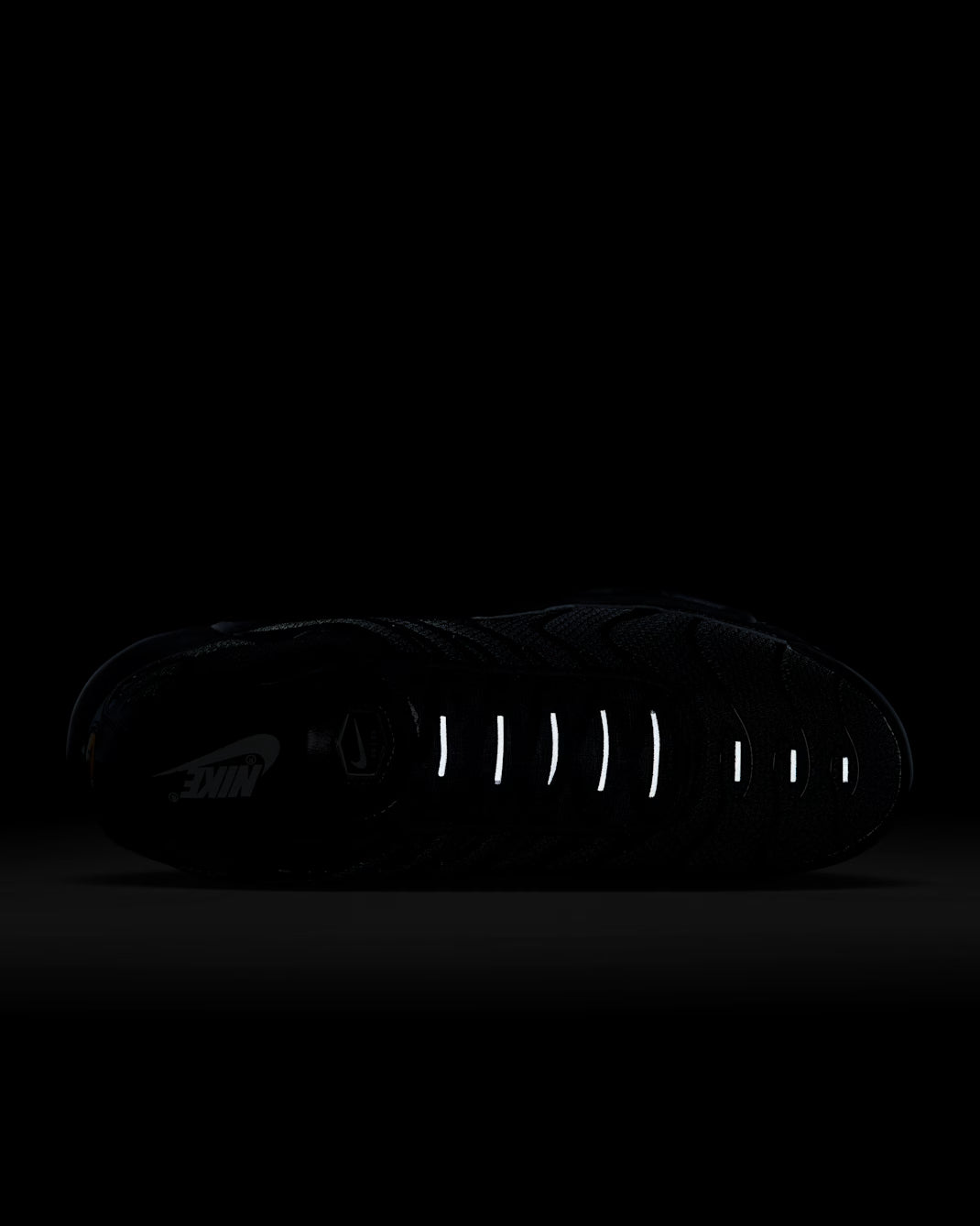 AIR MAX PLUS BLACK