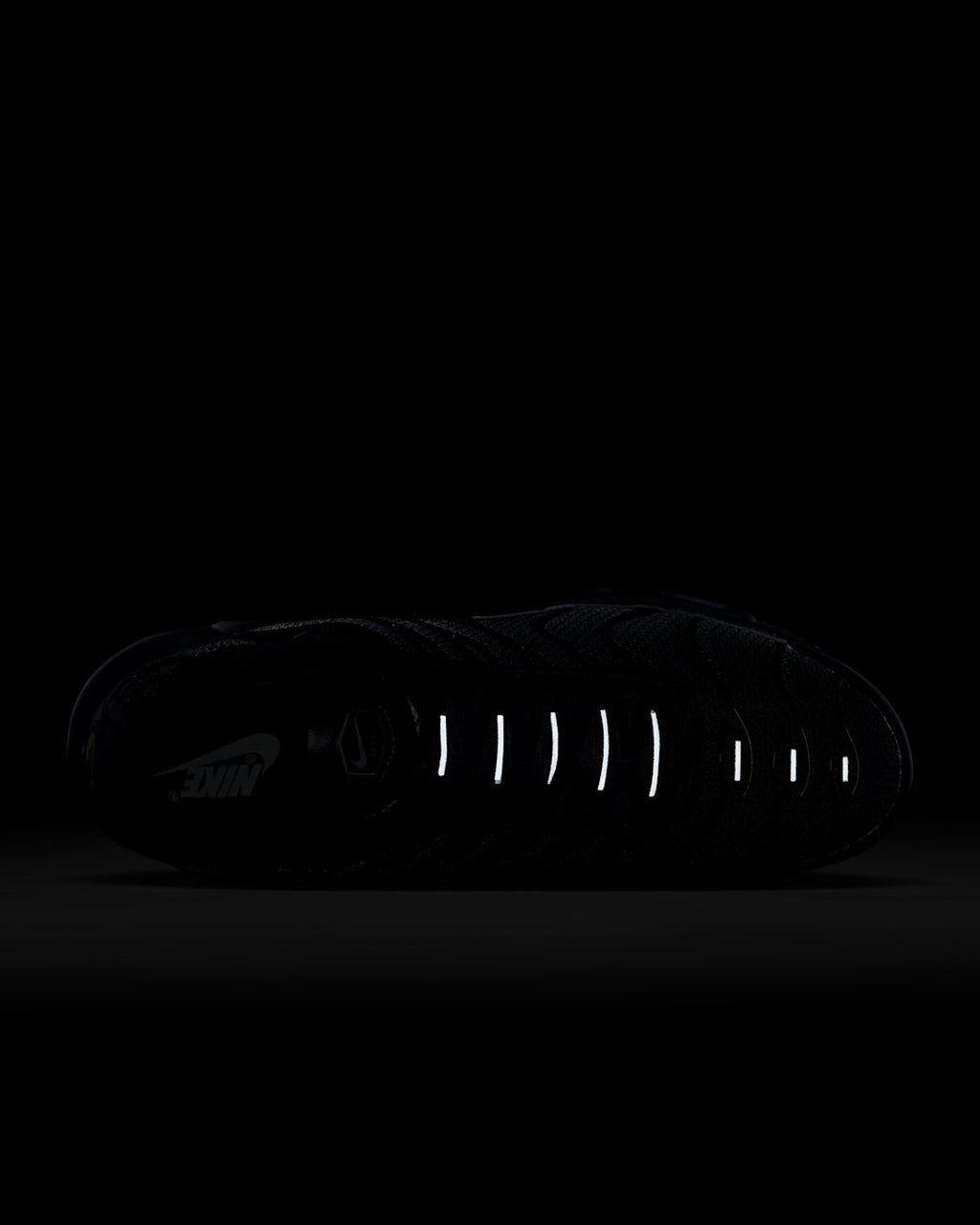 AIR MAX PLUS TRIPLE BLACK